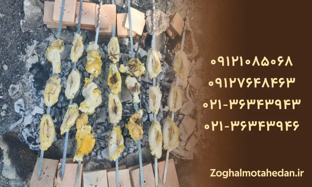 بهترین مارک زغال کبابی در بازار ایران