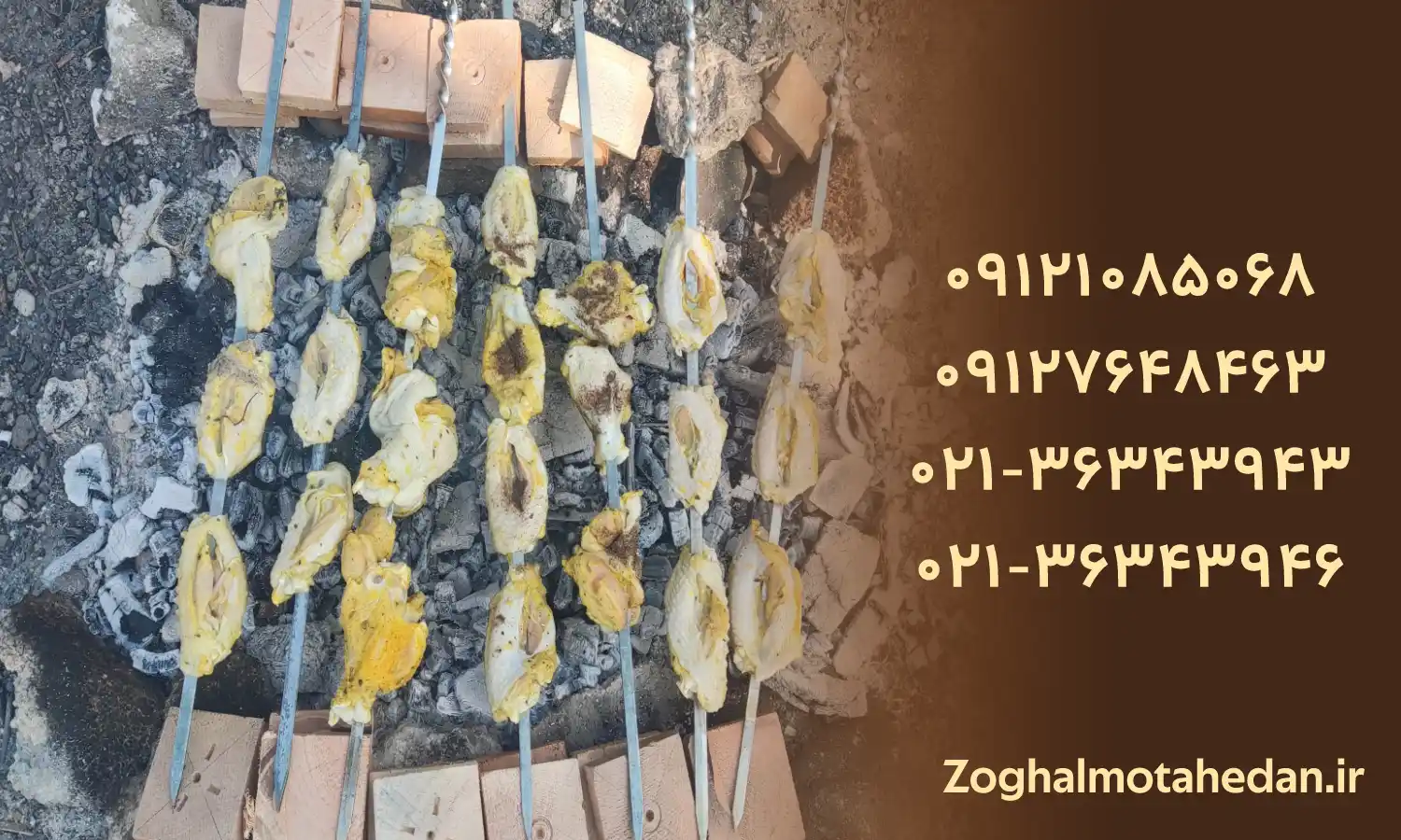 بهترین مارک زغال کبابی در بازار ایران